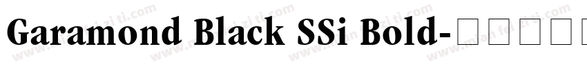 Garamond Black SSi Bold字体转换